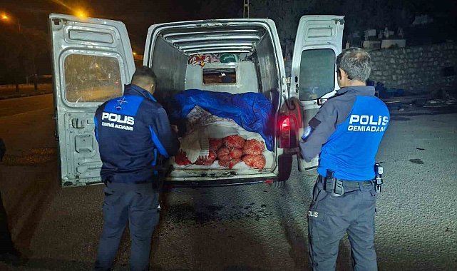 Samsun'da 5 ton kaçak midye ele geçirildi