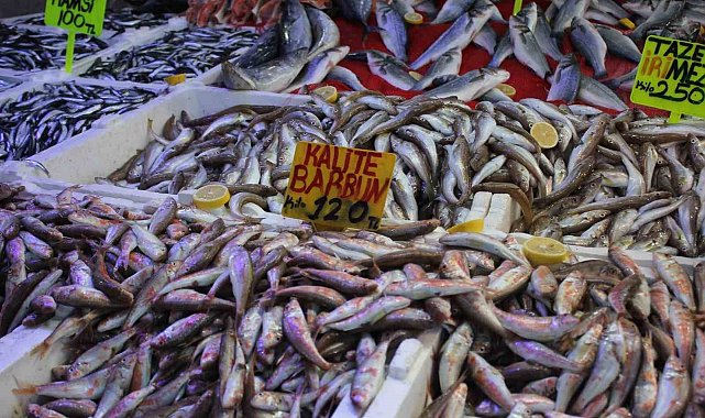 Samsun'da hamsi bolluğu fiyatları düşürdü: "Fakirin eti" oldu