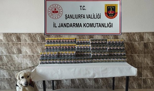 Şanlıurfa'da 420 paket gümrük kaçağı sigara ele geçirildi