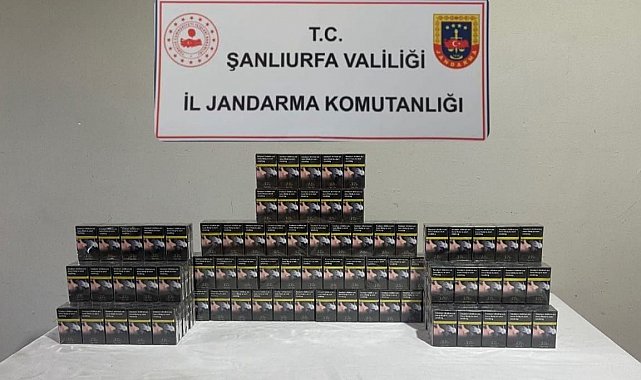 Şanlıurfa'da gümrük kaçakçılarına operasyon