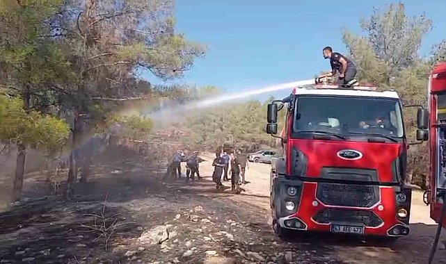 Şanlıurfa'da orman yangını