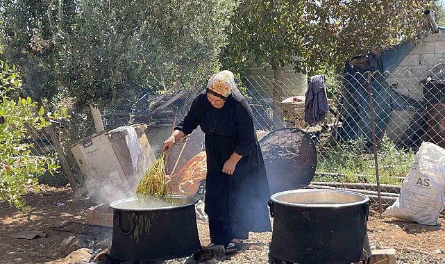 Şanlıurfa'da üzümün pekmez yolculuğu başladı