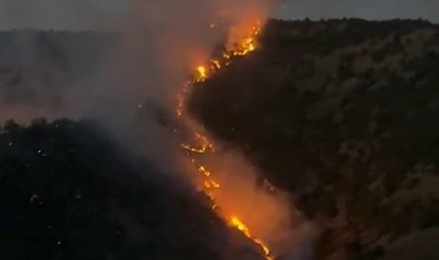 Şemdinli'de ormanlık alanda korkutan yangın