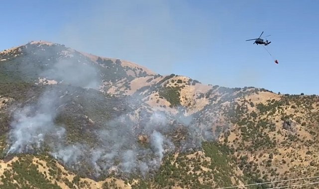 Şemdinli'deki orman yangınına hava destekli müdahale