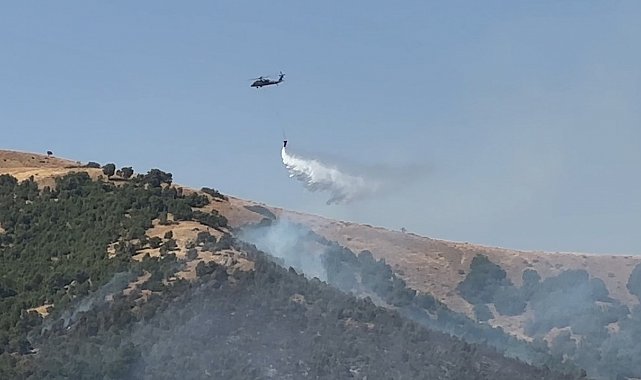 Şemdinli'deki yangına havadan müdahale devam ediyor