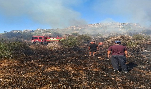 Serik'te makilik ve zeytinlik alanda çıkan yangın 1 saatte kontrol altına alındı