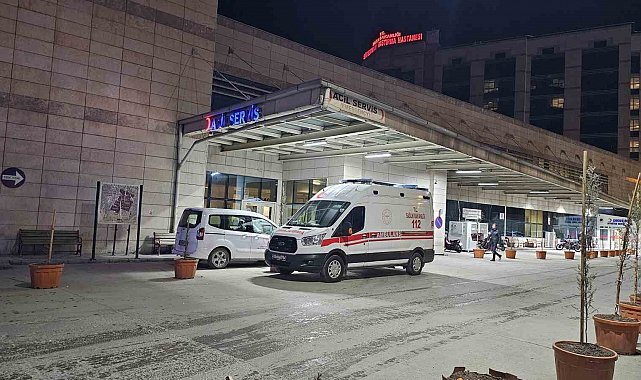 Siirt'te ağaçtan düşen şahıs hayatını kaybetti