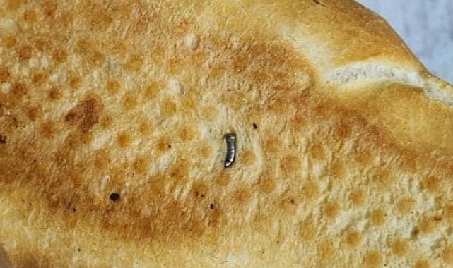 Siirt'te ekmekten çivi çıktı