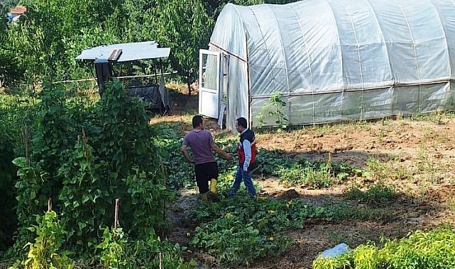Simav Esenbağ Köyü'nde sel ve su baskınından zarar gören tarım alanları tespit edildi