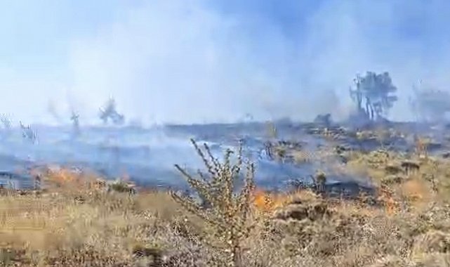 Sincik ilçesinde korkutan orman yangını