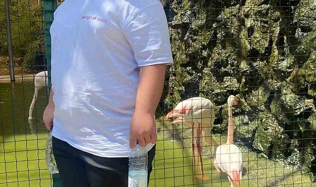 Sinema dönüşünde kaza: 17 yaşındaki genç hayatını kaybetti