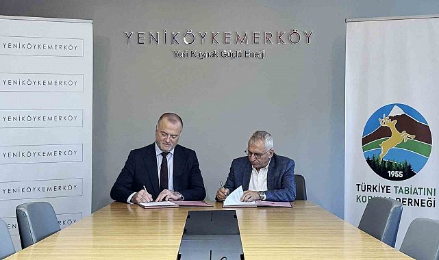 Taşınan zeytin ağaçlarını TTKD izleyecek