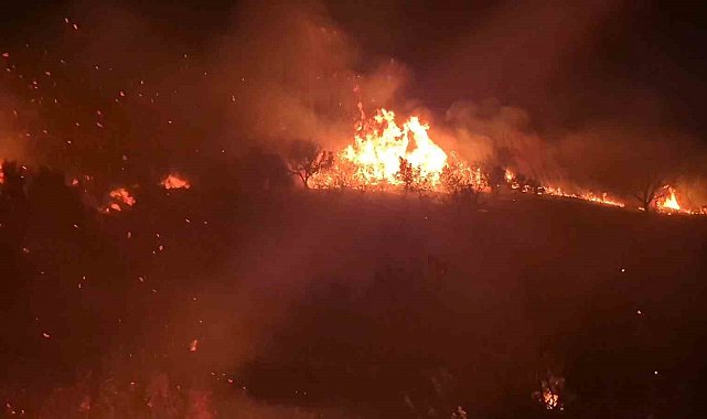 Tekirdağ'da geniş alana yayılan yangın kontrol altına alındı