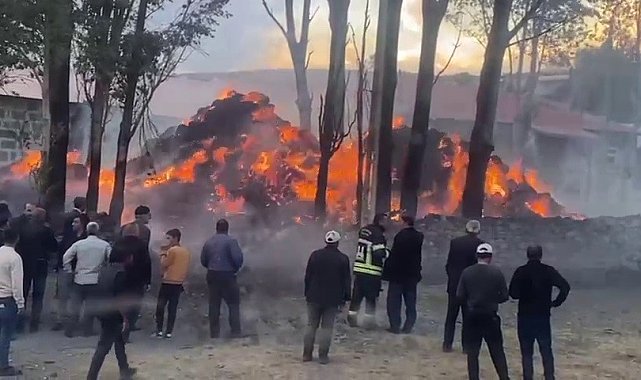 Tekman'da korkutan ot yangını
