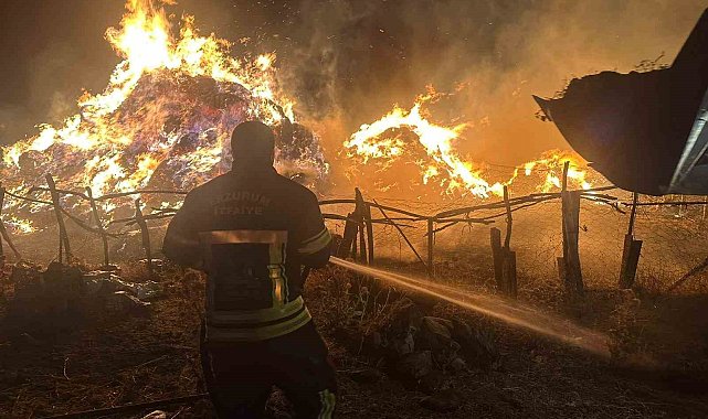 Tekman'da yangın; 2 bin 500 balya ot kül oldu