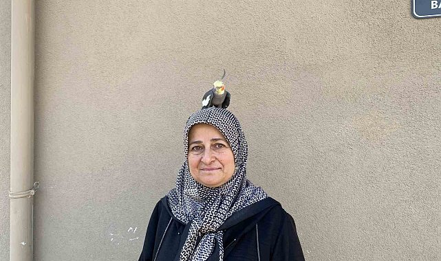 Torunu için sahiplendi, papağan çocuğu gibi oldu