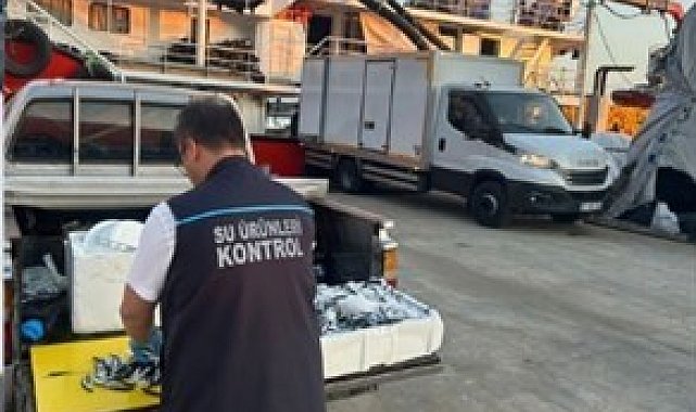 Trabzon'da usulsüz hamsi çıkışına 37 bin TL ceza