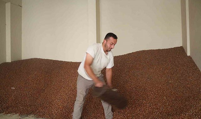 Tüccarlar fındık fiyatı konusunda farklı görüşte