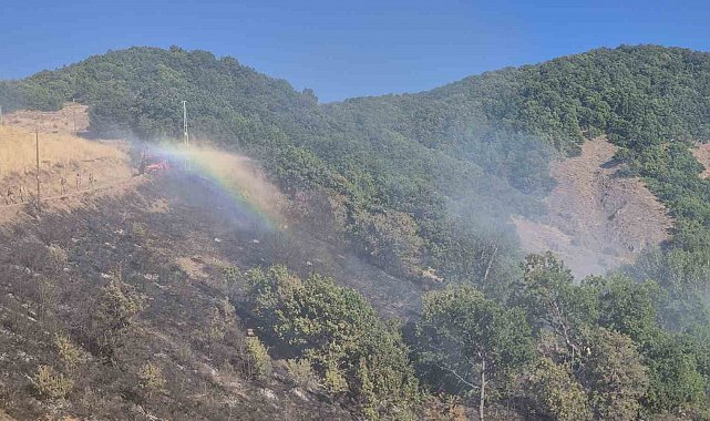 Tunceli'de kırsal alanda yangın: Havadan ve karadan müdahale sürüyor