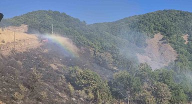 Tunceli'de kırsal alanda yangın: Havadan ve karadan müdahale sürüyor
