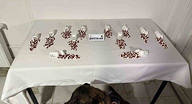 Tunceli'de narkotik köpeği 'Ayar' bagaja zulalanmış uyuşturucuyu buldu: 2 şüpheli yakalandı