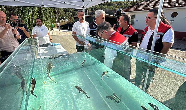 Türkiye'den dünya sofralarına siyah havyar: "Gramı 1 eurodan satılıyor"