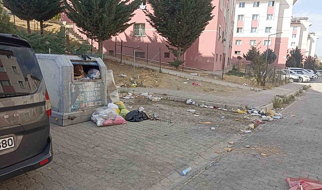 Tuşba'da yol ve çöp sorunu vatandaşları bıktırdı
