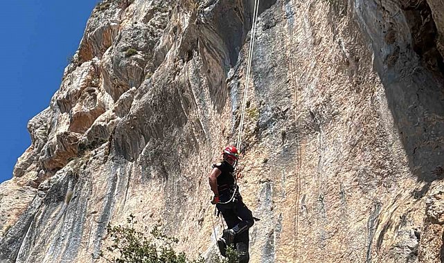 Uçurumda mahsur kalan keçi, itfaiye ekiplerince kurtarıldı