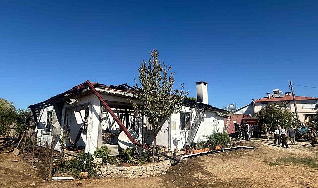 Ula'daki yangında 3 hayvan telef oldu