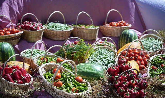 Uluslararası Çubuk Turşu ve Kültür Festivali başladı