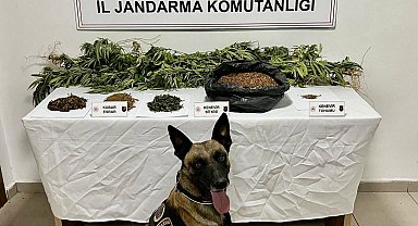 Uyuşturucu operasyonunda 1 kişi tutuklandı