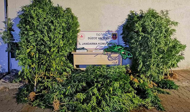 Uyuşturucudan 6 kişi tutuklandı, 44 şahıs hakkında işlem yapıldı