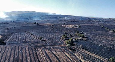 Uzmanı uyardı: "Orman yangınlarına karşı topraktaki nem kapasitesini arttırmalıyız"
