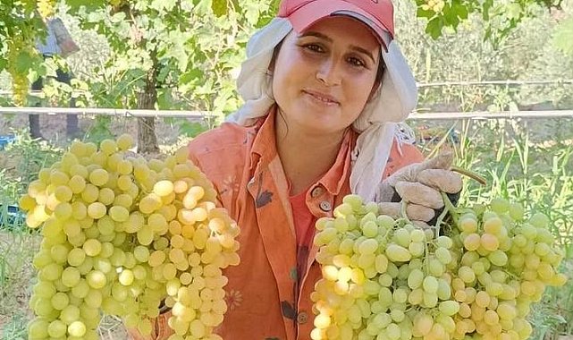 Üzüm yiyin, hastalıklardan korunun