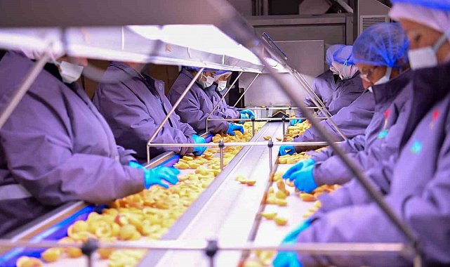 Vali Canbolat, Köşk'te gıda tesisini inceledi