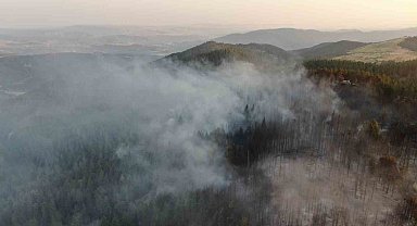 Vali Taşolar'dan orman yangınını ihbar eden çocuğa teşekkür
