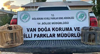 Van'da kafes avcılığı yapan şahsa 48 binlira cezai işlem uygulanacak