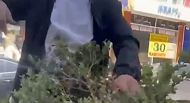 Van'da refüjdeki çiçek ve fidanlara zarar veren şahıs suçüstü yakalandı