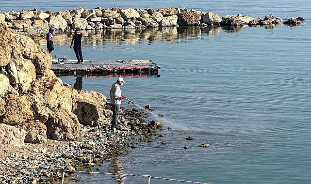 Van'da vektörle mücadele seferberliği