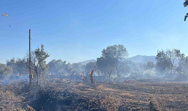 Yatağan'da tarlada çıkan yangın ekipler tarafından söndürüldü