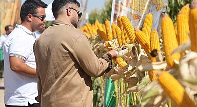 Yeni hibrit mısır çeşitleri Konya'da çiftçilere tanıtıldı
