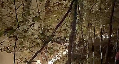 Yığılca'daki orman yangını söndürüldü