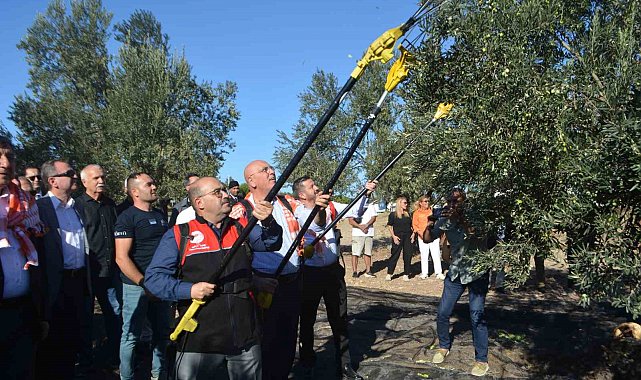 Yılın ilk zeytinyağı üretimi yapıldı