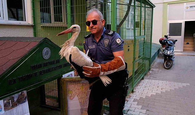 Yol kenarında bulunan yaralı leylek koruma altına alındı