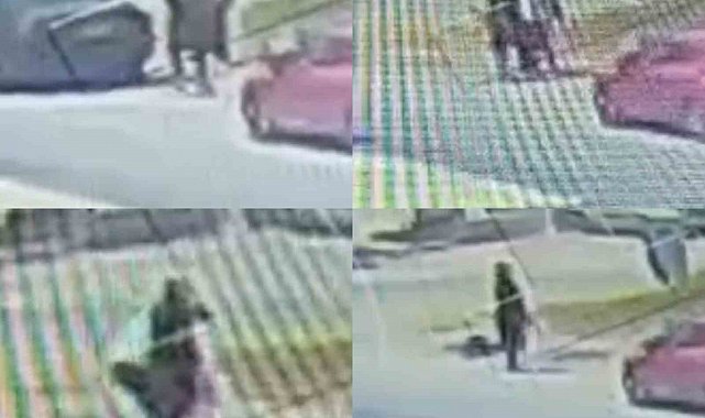 Yol kenarında kadın arkadaşını öldürüp kendini vurmuştu: Şüpheli taburcu edilip tutuklandı