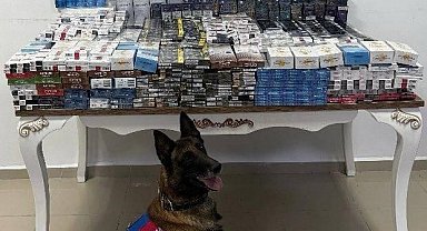 Yol kontrolünde 3 bin 606 paket kaçak sigara ele geçirildi