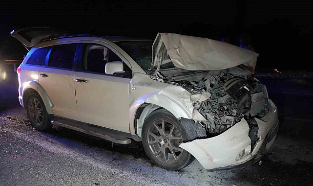 Yola çıkan hayvanlara otobüs ve cip çarptı: 3 inek telef oldu