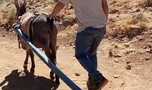 Yolalan'da eşeklerle su seferberliği