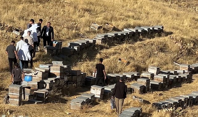 Yüksekova'da bal hasadı başladı