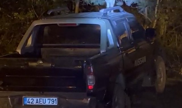 Yüksekova'da dost canlısı tilki: Önce arabanın üzerine çıkıyor, sonra elle besleniyor